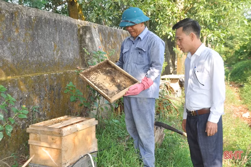 Vì sao dư nợ ngân hàng của các hợp tác xã ở Hà Tĩnh đạt thấp?