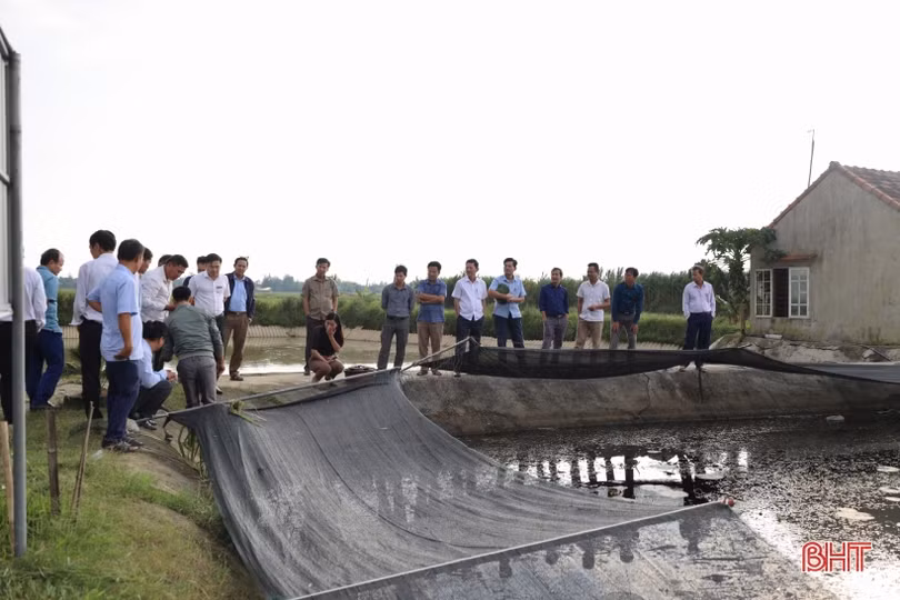 Cẩm Xuyên ứng dụng, chuyển giao KHKT, tạo đột phá phát triển sản xuất nông nghiệp