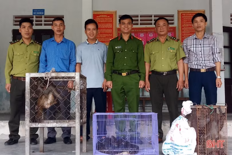 Bàn giao khỉ vàng, khỉ đuôi lợn và trăn đất cho Vườn Quốc gia Vũ Quang