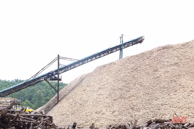 Xuất khẩu dăm gỗ Hà Tĩnh mang về hơn 99 triệu USD