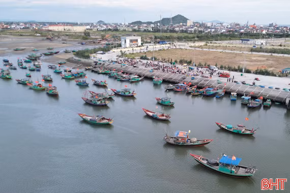 Sau áp thấp, ngư dân Hà Tĩnh trúng nhiều hải sản giá trị