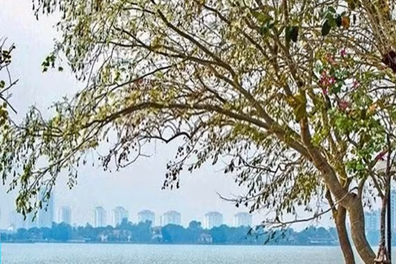 Tháng 10, nhiệt độ cả nước cao hơn trung bình nhiều năm