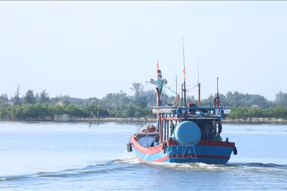 Hội Thủy sản Việt Nam phản đối lệnh cấm đánh bắt cá đơn phương của Trung Quốc