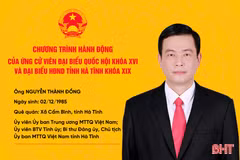Chương trình hành động của ứng cử viên ĐBQH, đại biểu HĐND tỉnh Nguyễn Thành Đồng 