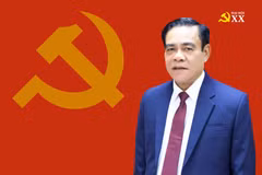 Quá trình công tác của đồng chí Võ Trọng Hải - Phó Bí thư Tỉnh ủy Hà Tĩnh