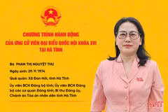 Tập trung giám sát việc thực hiện các chủ trương, chính sách lớn của Đảng và Nhà nước 