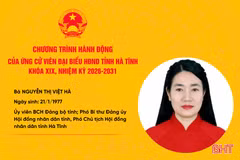 Chương trình hành động ứng viên đại biểu HĐND tỉnh Nguyễn Thị Việt Hà