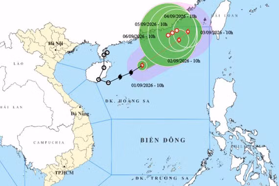 Theo dõi chặt chẽ diễn biến, chủ động ứng phó với bão số 5
