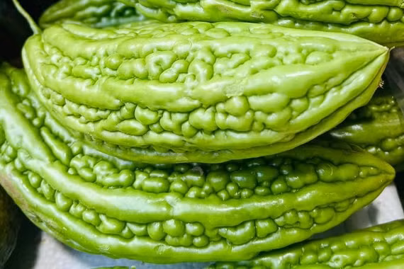 Cần lưu ý những gì khi sử dụng mướp đắng?