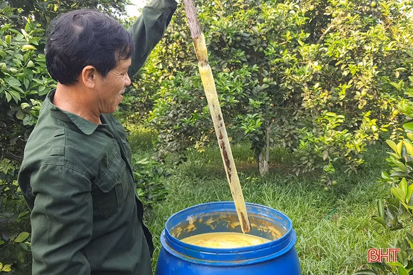 Chế phẩm sinh học giúp phòng, chống bệnh trên cây cam, bưởi ở Hà Tĩnh