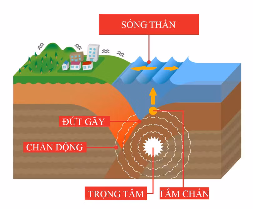 Nguyên nhân Nhật hứng chịu 155 trận động đất một ngày