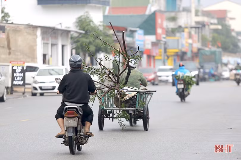 Đến hẹn... lại lo với xe chở hàng cồng kềnh!