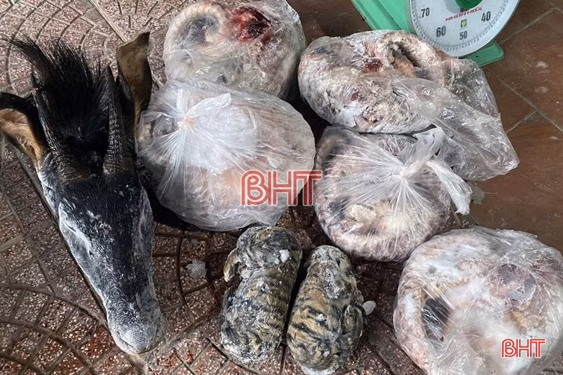 Công an Hà Tĩnh “đánh mạnh” vào tội phạm mua bán động vật hoang dã