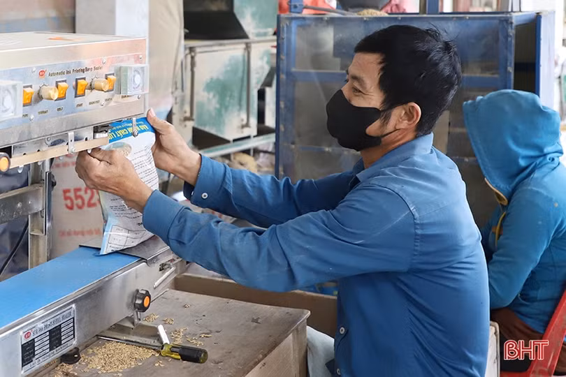 Cung ứng kịp thời giống lúa chất lượng sản xuất vụ xuân
