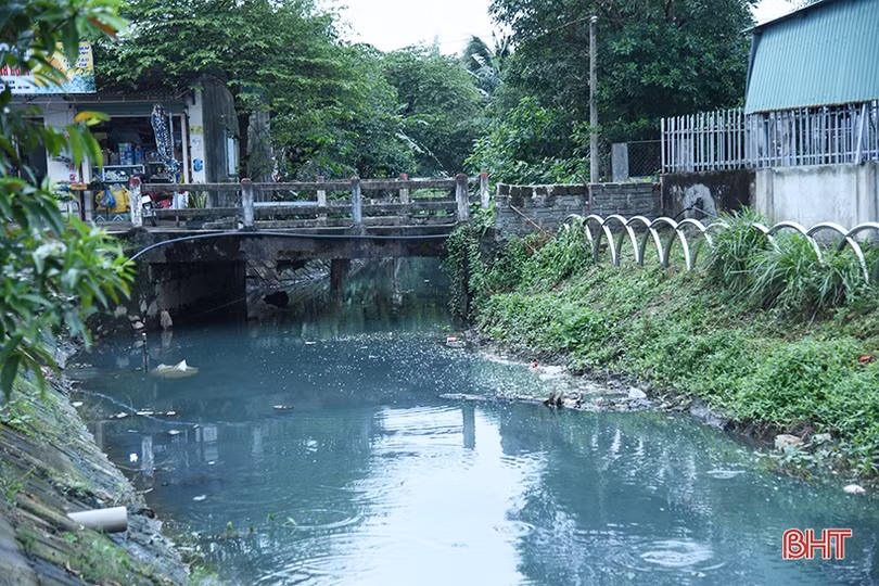Ngộp thở bên bờ kênh ô nhiễm trầm trọng ở Kỳ Tân