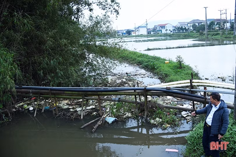 Ngộp thở bên bờ kênh ô nhiễm trầm trọng ở Kỳ Tân