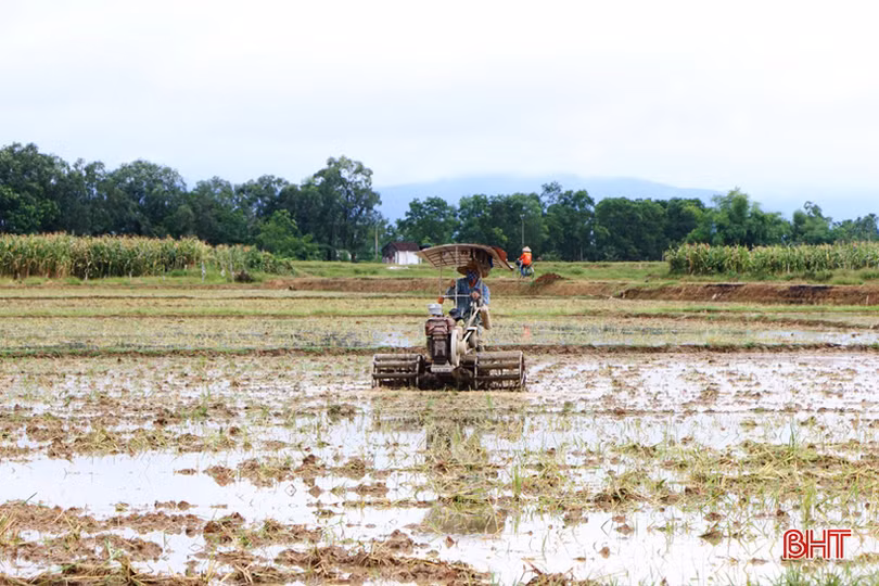Nước về đầy đồng, nông dân Hà Tĩnh rộn ràng vào vụ sản xuất hè thu