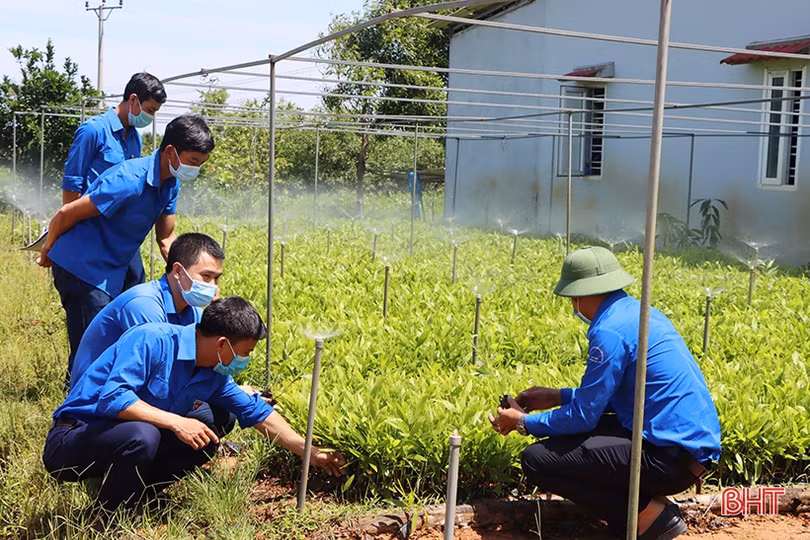 Huyện đoàn Cẩm Xuyên ra mắt mô hình kinh tế và giải ngân nguồn vốn quỹ quốc gia về việc làm