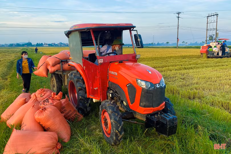 Vụ lúa xuân ở Hà Tĩnh giành thắng lợi trọn vẹn
