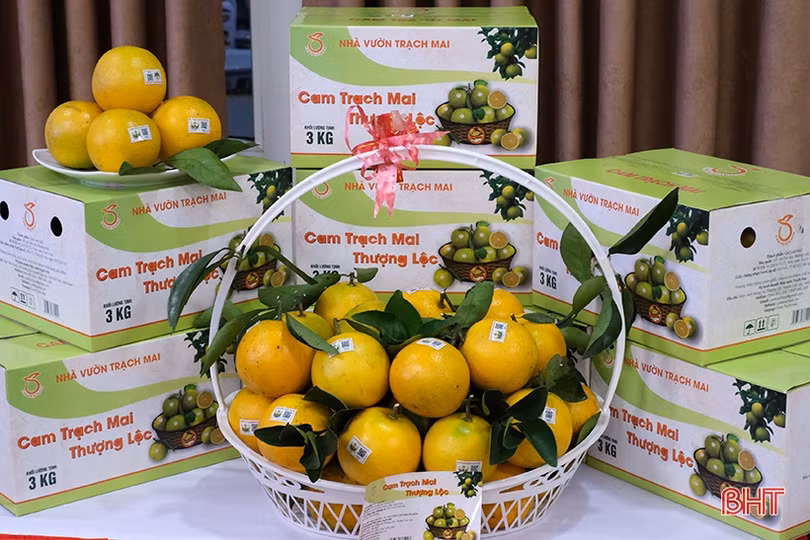 Hà Tĩnh chuyển đổi số trong xây dựng nông thôn mới