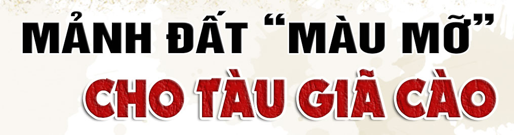 Vấn nạn tàu giã cào trên vùng biển Hà Tĩnh (bài 1): Khai thác tận diệt và hậu quả của việc giành giật ngư trường