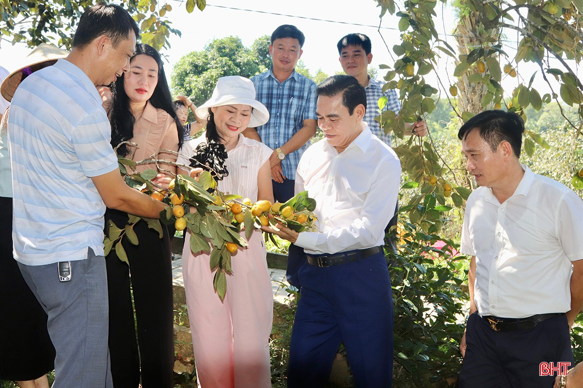 Chủ tịch UBND tỉnh Võ Trọng Hải đánh giá cao các sản phẩm nông nghiệp của huyện Vũ Quang, nhất là hồng Bình Du.