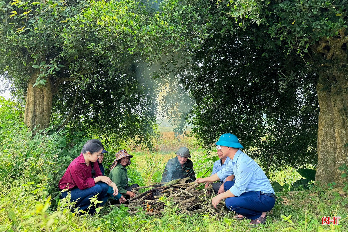 Giữa bãi bồi lộng gió, những lúc nghỉ tay, bà con nông dân cùng nhau nhóm vội bếp lửa từ vài cành củi khô, đặt lên đó những bắp ngô vừa thu hái.