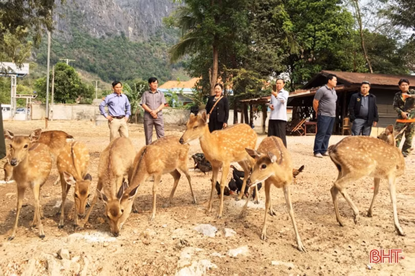 Hà Tĩnh xây dựng điển hình về hữu nghị, hợp tác Việt - Lào