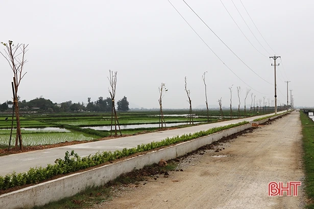 An Nhiên - yên bình một miền quê