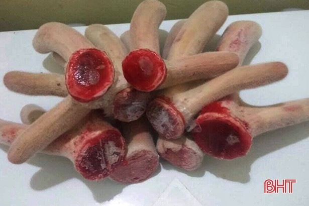 “Vựa” hươu Hà Tĩnh ước thu 160 tỷ đồng từ lộc nhung