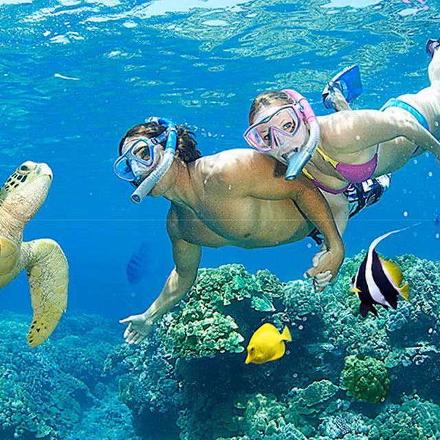 Phiêu lưu tới những miền đất quen mà lạ, lạ mà quen