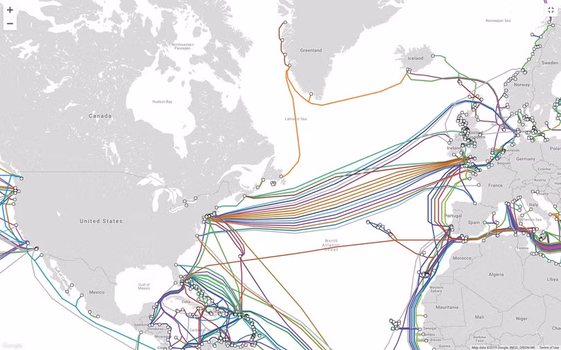 Nỗi oan của cá mập khi đứt cáp quang