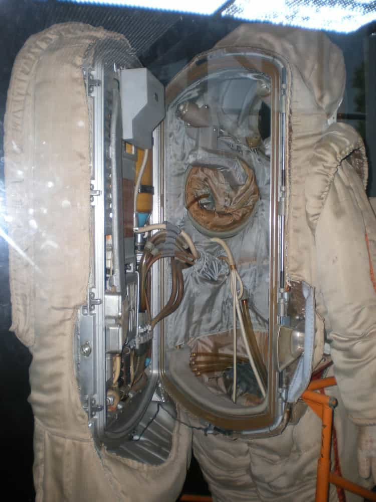 Những bức ảnh thú vị tiết lộ sự thật ít biết về các sự vật, hiện tượng