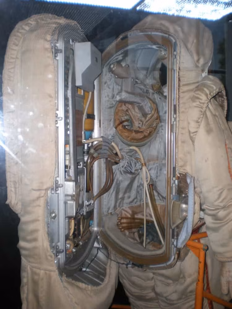 Những bức ảnh thú vị tiết lộ sự thật ít biết về các sự vật, hiện tượng