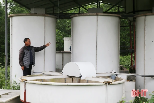 Gần 70 tuổi, cựu thanh niên xung phong Hà Tĩnh vẫn thu 1 tỷ đồng/năm từ trang trại