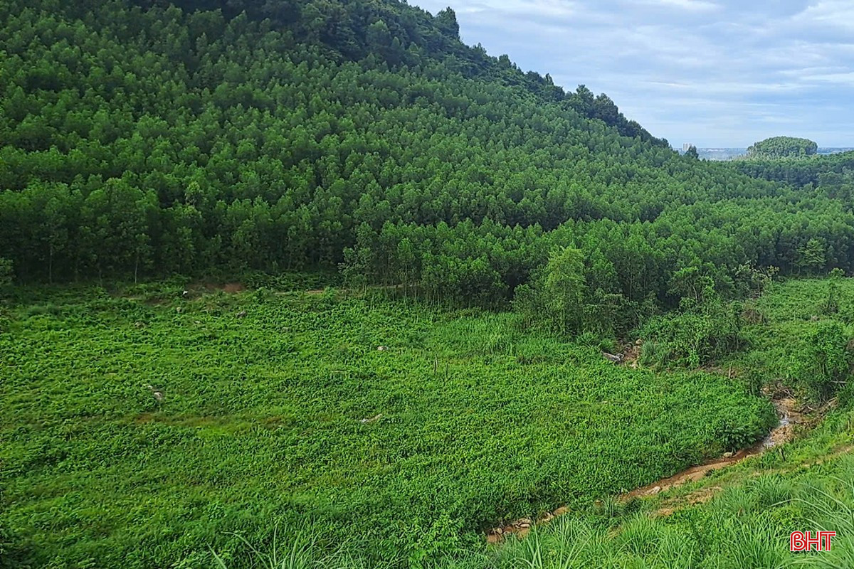 តំបន់អណ្តូងរ៉ែ ហាលិញ ១ ក្នុងឃុំ ហាលិញ គឺជាកន្លែងដែលក្រុមហ៊ុន VSIP ហាលិញ បានឈ្នះការដេញថ្លៃសម្រាប់សិទ្ធិធ្វើអាជីវកម្មធនធានរ៉ែសម្រាប់ការកែលម្អដី។ bqbht_br_du-an-vsip-ha-tinh.jpg