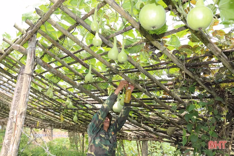 “Lạc bước” trong trang trại xanh của Đồn Biên phòng Hoà Hải