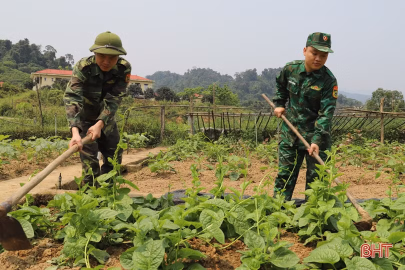 “Lạc bước” trong trang trại xanh của Đồn Biên phòng Hoà Hải