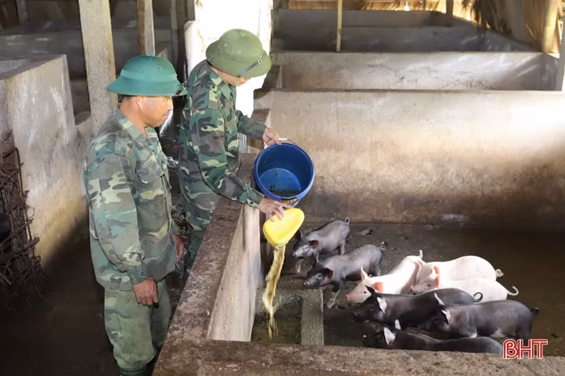“Lạc bước” trong trang trại xanh của Đồn Biên phòng Hoà Hải