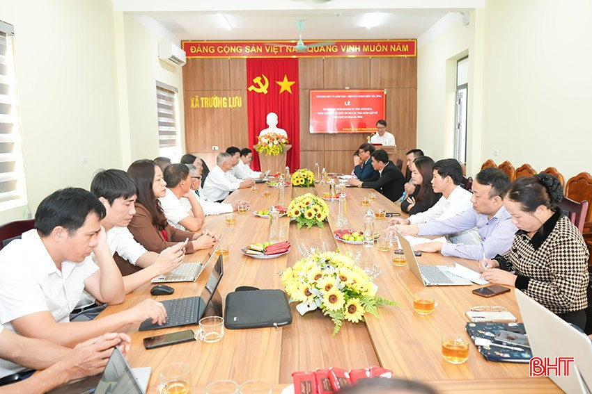 bqbht_br_anh-vamh.png
