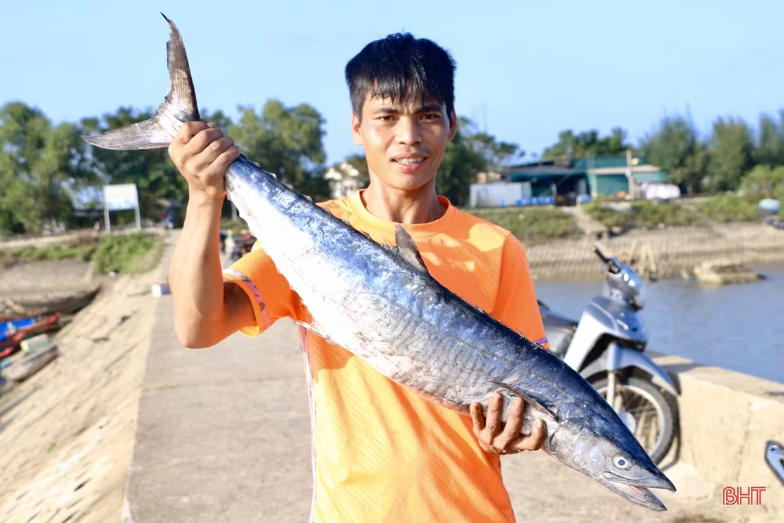 Mùa biển động, ngư dân Cẩm Xuyên vẫn “trúng” nhiều hải sản giá trị