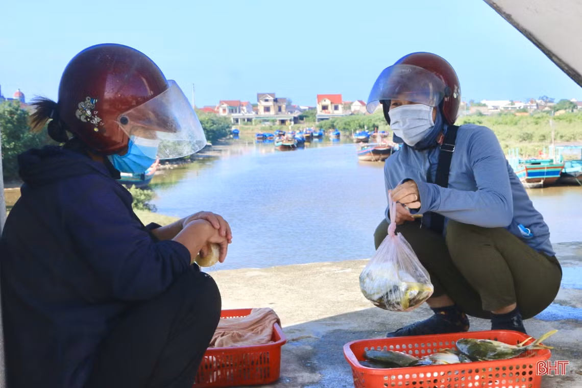 Mùa biển động, ngư dân Cẩm Xuyên vẫn “trúng” nhiều hải sản giá trị