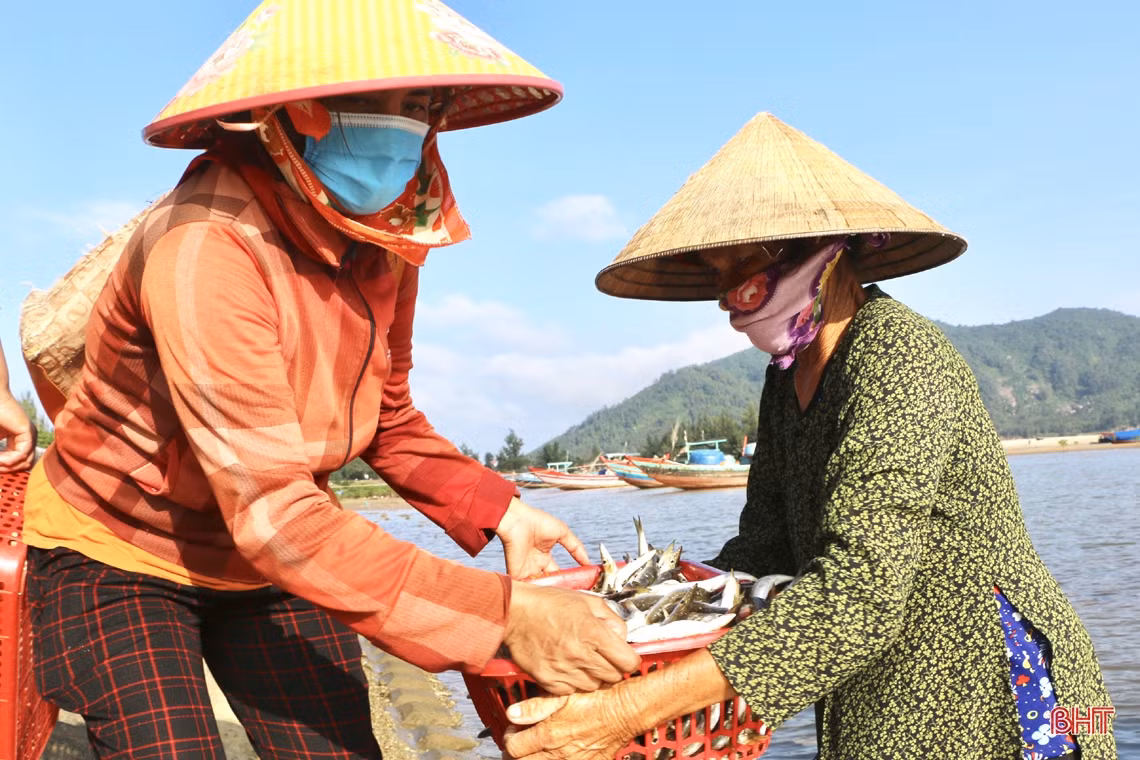 Mùa biển động, ngư dân Cẩm Xuyên vẫn “trúng” nhiều hải sản giá trị