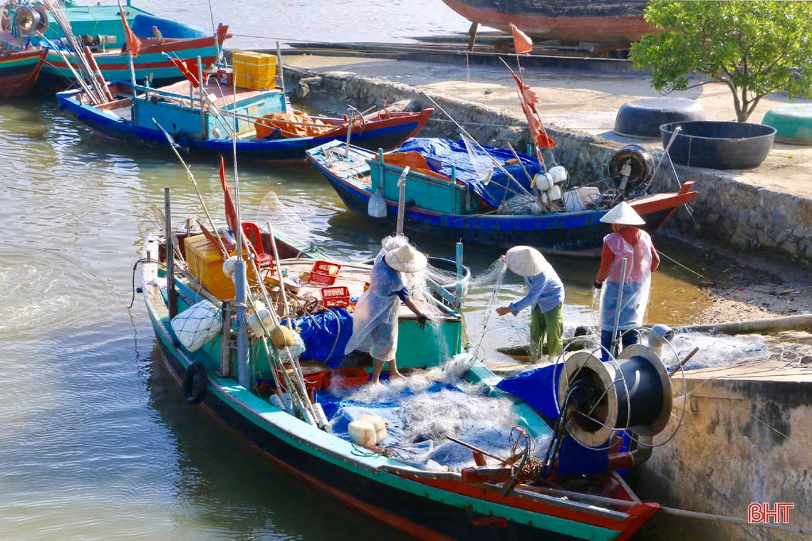 Mùa biển động, ngư dân Cẩm Xuyên vẫn “trúng” nhiều hải sản giá trị