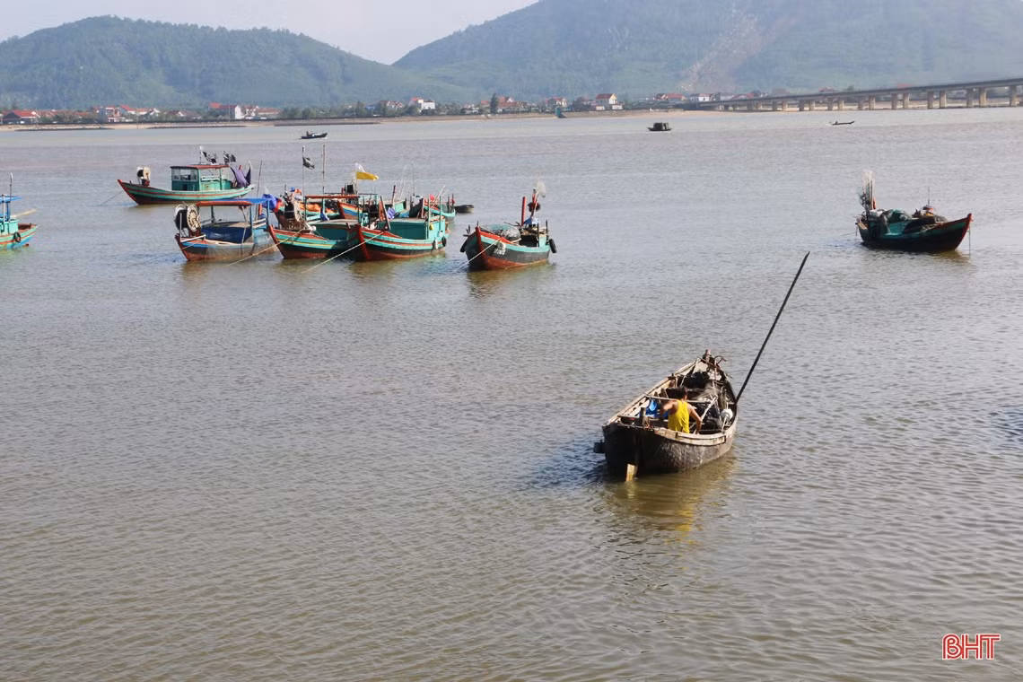 Mùa biển động, ngư dân Cẩm Xuyên vẫn “trúng” nhiều hải sản giá trị