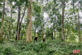 Bảo vệ động vật quý hiếm, thực vật đặc hữu để làm “giàu” cho đại ngàn