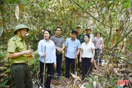Vượt khó giữ màu xanh cho những cánh rừng