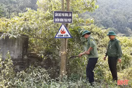 Siết chặt biện pháp phòng, chống cháy rừng ven sông Ngàn Phố