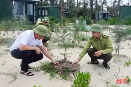 Gian nan phủ xanh lại những cánh rừng phòng hộ ven biển