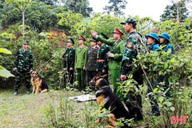 “Nội yên, ngoại tĩnh” trong kỷ nguyên vươn mình